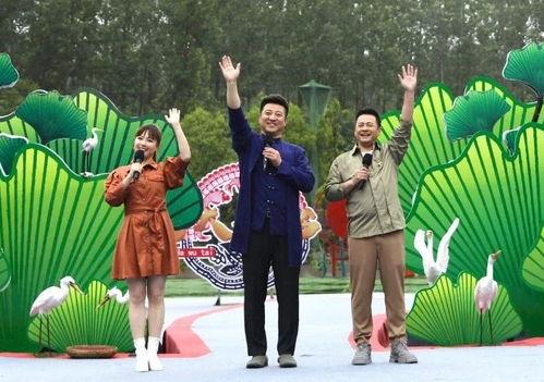 丹麦政府爆料视频最新,重大国际事件背后真相曝光  第3张